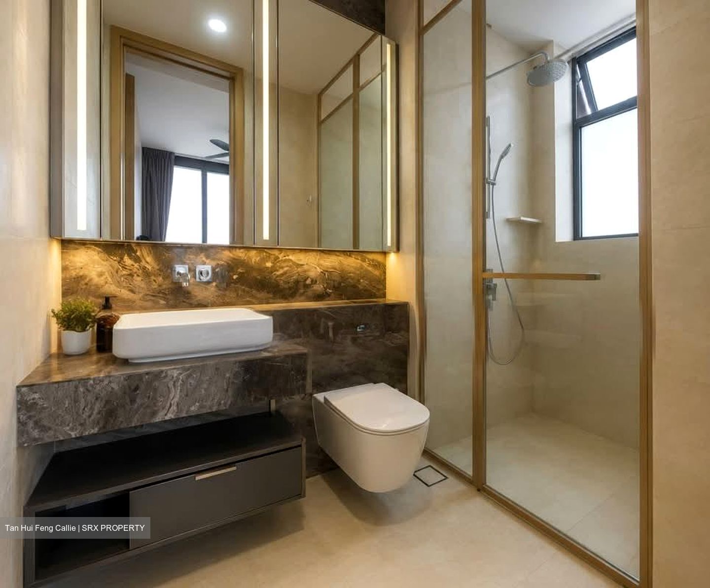 The Avenir (D9), Condominium #555876221